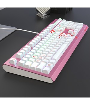 Heijue DKM800 Mechanical Keyboard Gaming Keyboard Side Engraved Keycap Alloy Panel Multimedia Knob RGB Light Effect